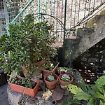 Casa Irene By The With Garden And Ac Apartamento *